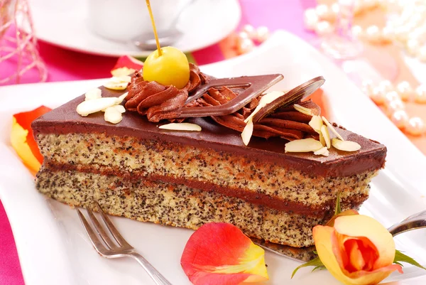 초콜릿, 양 귀 비 케이크 스톡 사진