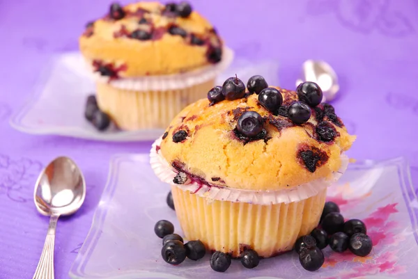 Blueberry muffins — Stock Photo, Image
