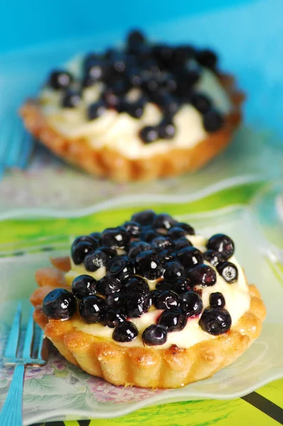 Blueberry tartlets — Stockfoto