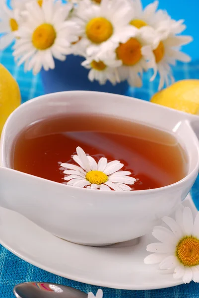 Herbata rumianek w białe filiżanka — Zdjęcie stockowe