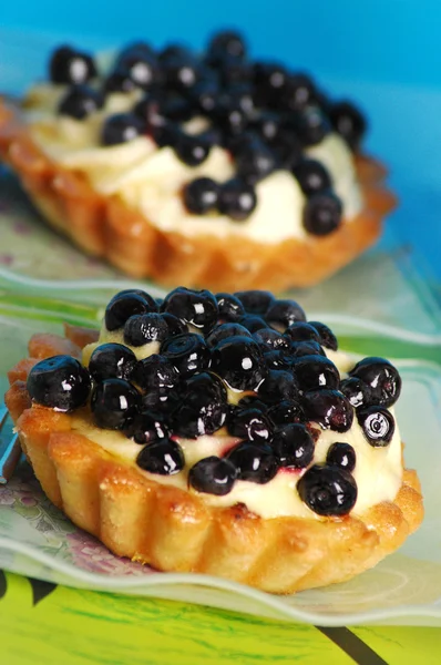 Blueberry tartlets — Stock Photo, Image