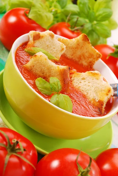 クルトン入りトマト クリーム スープ — ストック写真