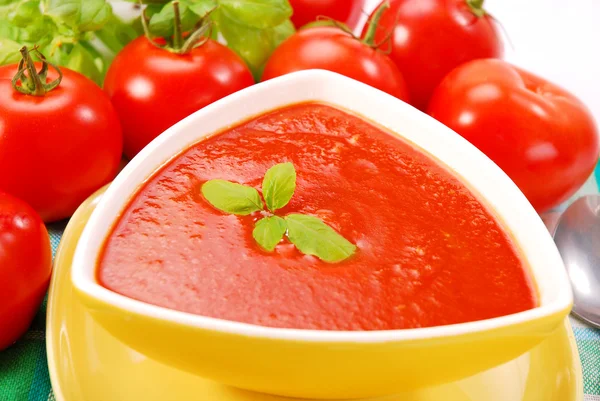 Sopa de creme de tomate com manjericão — Fotografia de Stock