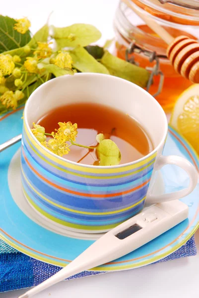 Chá de tília — Fotografia de Stock