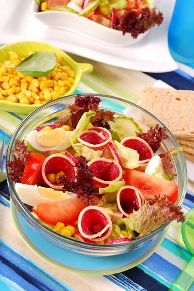 Salad with salami,eggs and vegetables — Stock Photo, Image