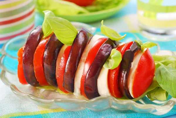 Aubergine, mozzarella och tomat — Stockfoto