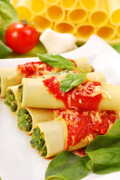 Cannelloni mit Spinat — Stockfoto