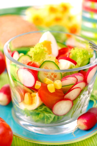 Salada de verduras de primavera — Fotografia de Stock