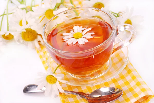 Cam papatya çayı — Stok fotoğraf