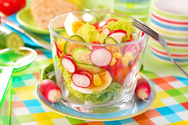 Lente groenten Salade — Stockfoto