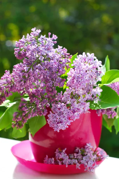 Um monte de lilás no vaso. — Fotografia de Stock