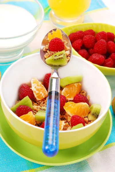 Muesli with fresh fruits as diet food — Stock Photo, Image