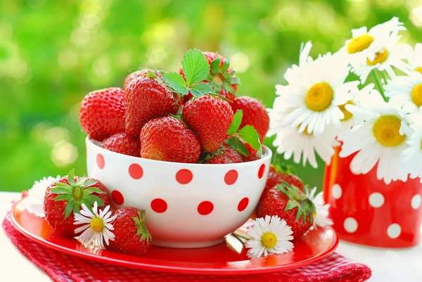 Cuenco de fresas frescas — Foto de Stock