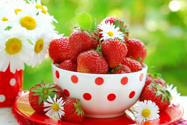 Skål med färska jordgubbar — Stockfoto