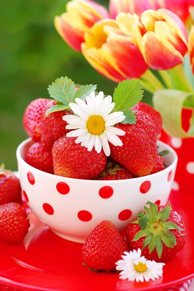 Skål med färska jordgubbar — Stockfoto