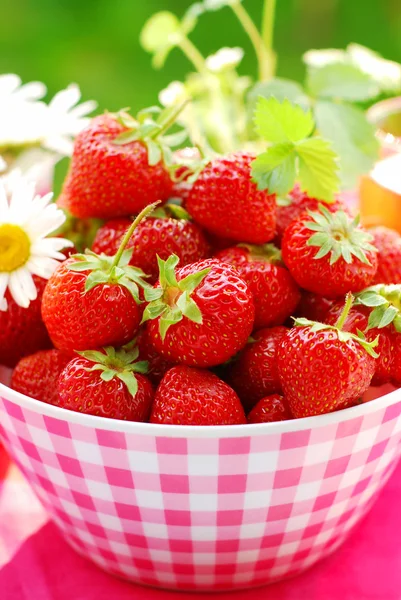一碗新鲜草莓 — 图库照片