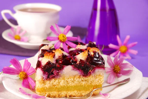 Blueberry and coconuts cake — Stock Photo, Image