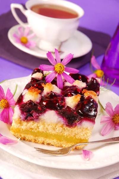 Blueberry and coconuts cake — Stock Photo, Image