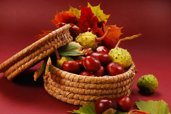 Castañas y hojas de otoño — Foto de Stock