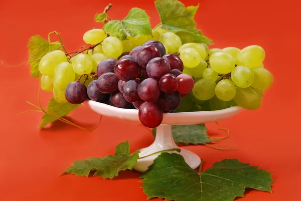 Raisins blancs et rouges — Photo