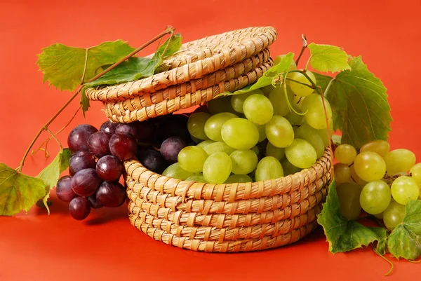 Vita och röda druvor i korg — Stockfoto