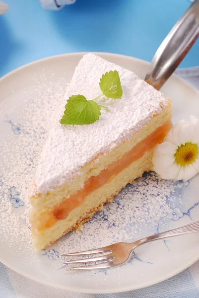 Apple cake with icing sugar — Stock Photo, Image