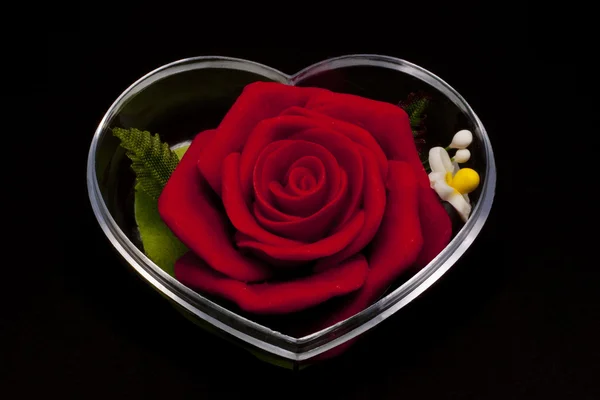 Rosa roja encerrada en la carcasa en forma de corazón — Foto de Stock