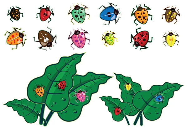 แมลงสีสันในเวกเตอร์ — ภาพเวกเตอร์สต็อก
