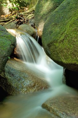 Small Waterfall on in a Tropical Rainforest clipart