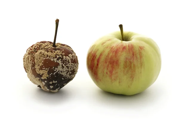 Dos manzanas aisladas — Foto de Stock