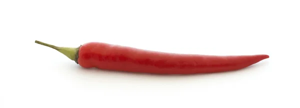 Pimentão quente vermelho — Fotografia de Stock