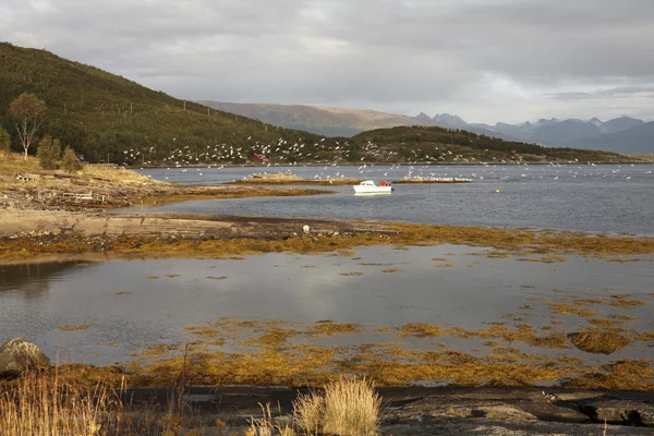 Hermoso paisaje en el norte de Noruega —  Fotos de Stock
