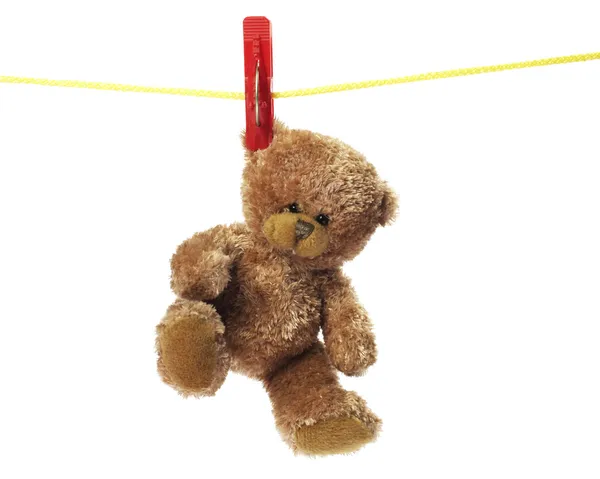 Тедди-медвежонок — стоковое фото