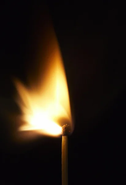 Burning fire of a match — Stock Photo, Image