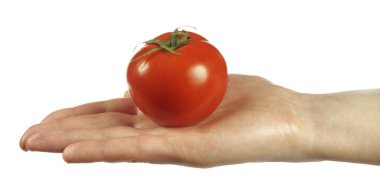 kırmızı domates tutan el