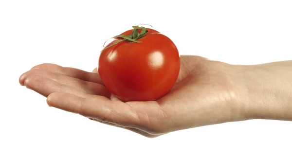 Hand hält rote Tomate — Stockfoto