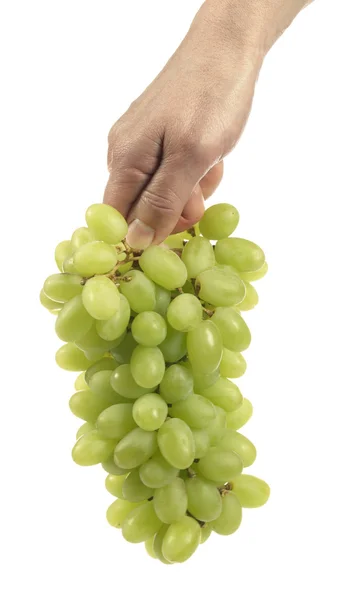 Grape in a hand — Stock Photo, Image