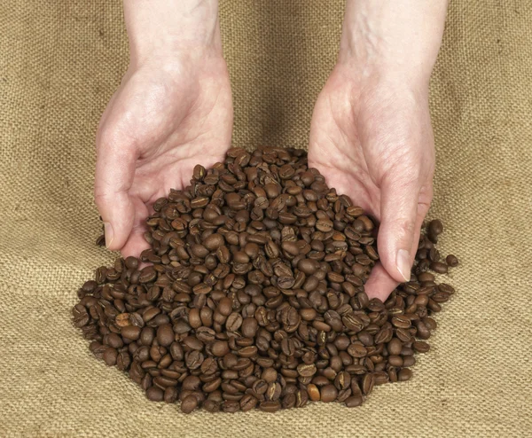 Ziarna kawy w rękach — Zdjęcie stockowe