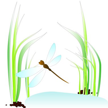 Dragonfly clipart