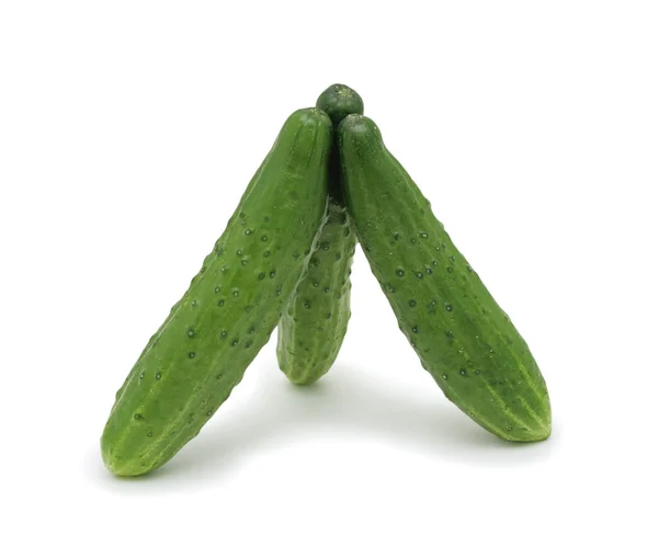 Verse komkommers, geïsoleerd — Stockfoto
