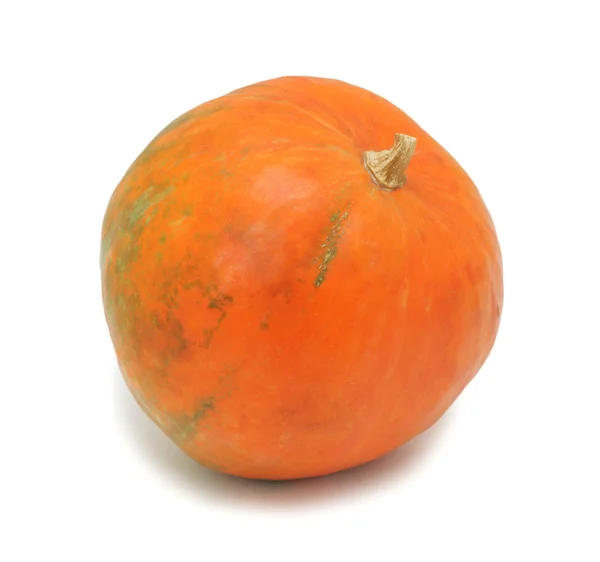 Pumpkin, isolated — Stock Photo, Image