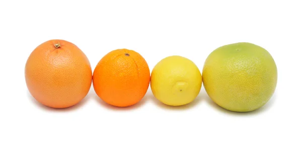 Group of citrus fruits, isolated — Stock Photo, Image