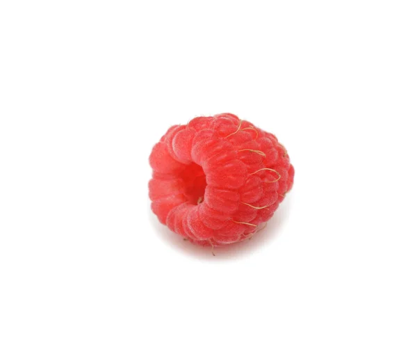 Raspberry, isolated — Stock Photo, Image