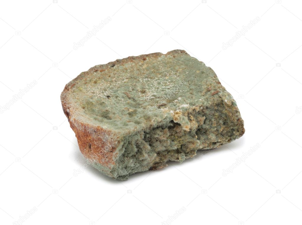 Slice of mouldy bread, isolated