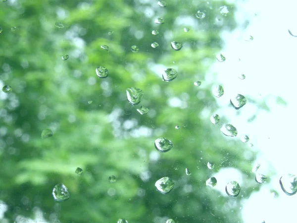 Summer rain — Stock Photo, Image