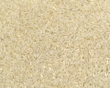 Rice Background clipart