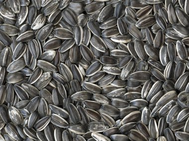 Sunflower Seeds clipart