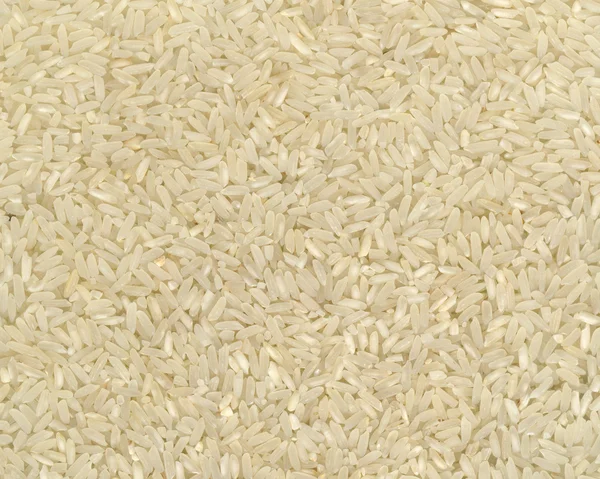 Stock image Rice Background