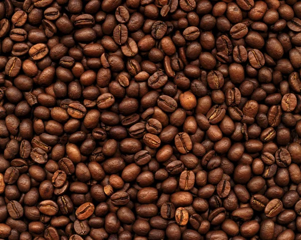 Coffee Bean Background — Stock Photo, Image
