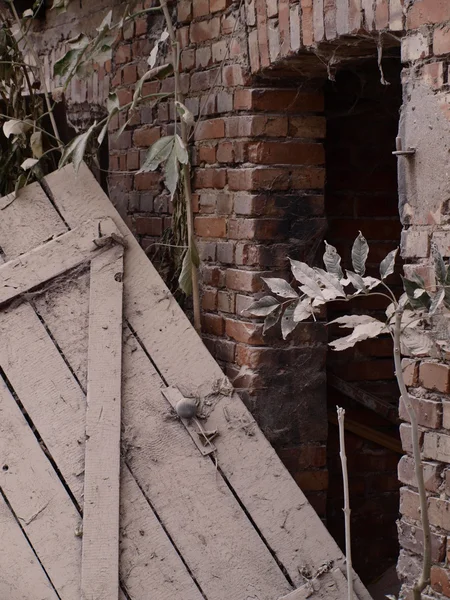 stock image Dusty shed